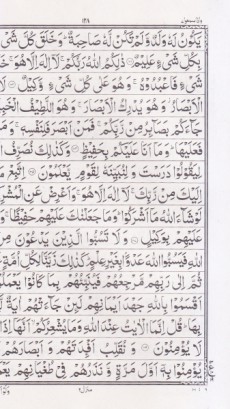 القرآن الحکیم (16 خط پاکستانی وزیری)